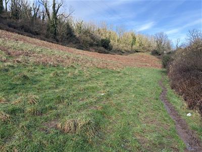 Click to view more details